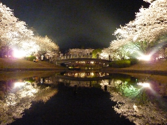 浜松フラワーパーク