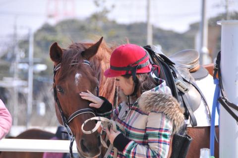 パロミノ・ポニークラブ