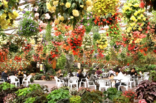 松江フォーゲルパーク