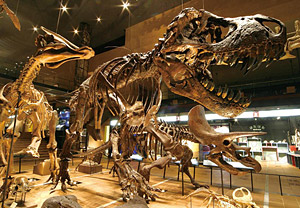 いのちのたび博物館