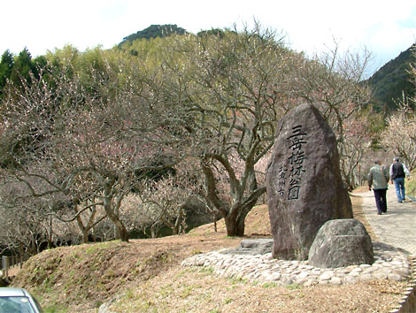 三岳梅林公園