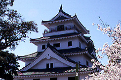 いか活造り・活魚料理松屋