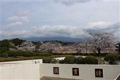 大石寺