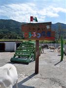 酪農王国オラッチェ