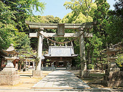 八幡神社 松平東照宮