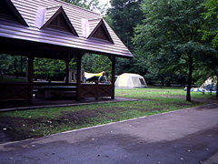 安平町鹿公園キャンプ場