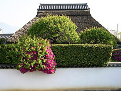 金剛寺