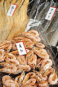 日生珍味 日陽