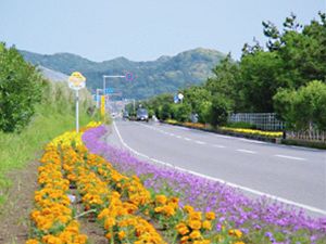 房総フラワーライン