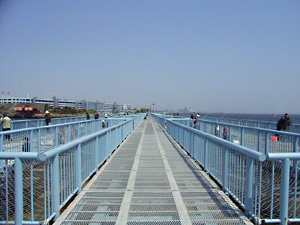 大黒海釣り公園