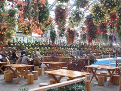 日光 花いちもんめ